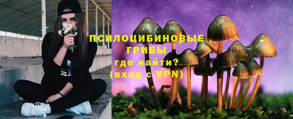 прущая мука Алексин