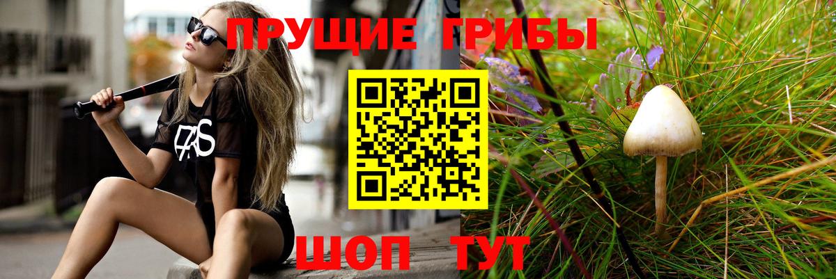 Галлюциногенные грибы MAGIC MUSHROOMS Нарткала