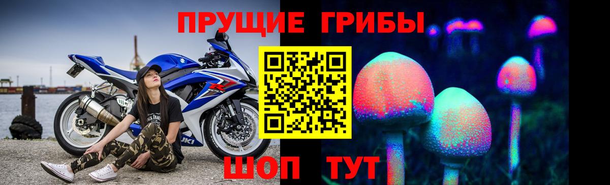 Псилоцибиновые грибы Cubensis  Вход с VPN  Псилоцибиновые грибы мухоморы  Нарткала 